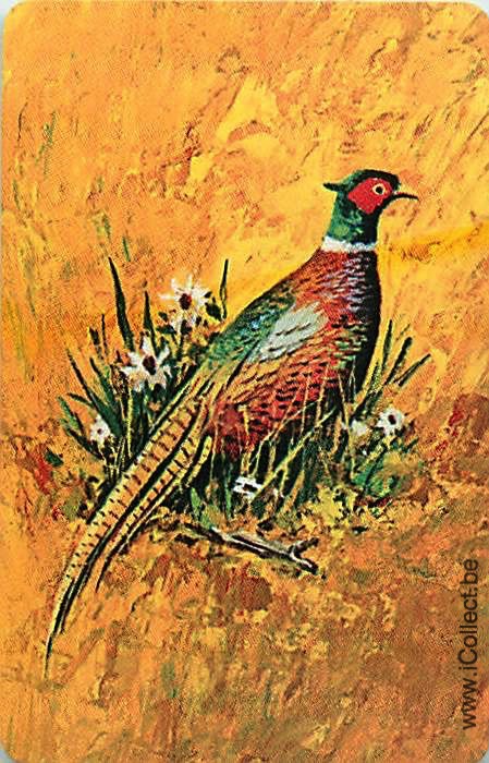 Single Swap Playing Cards Bird Pheasant (PS21-27B)