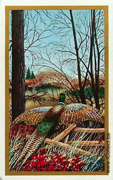 Single Swap Playing Cards Bird Pheasant (PS21-27C)