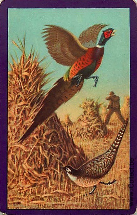 Single Swap Playing Cards Bird Pheasants (PS21-27E)