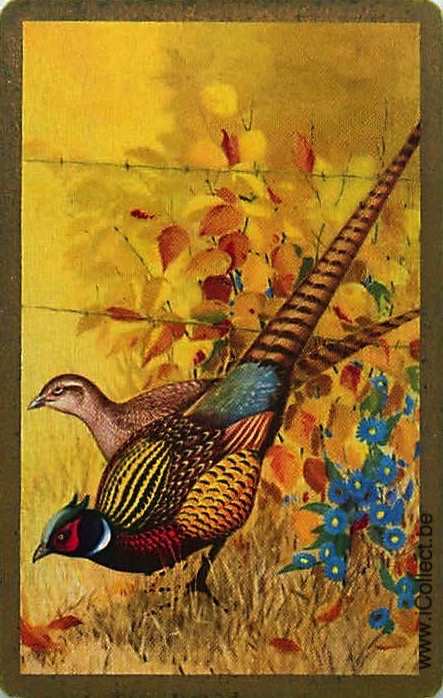 Single Swap Playing Cards Bird Pheasants (PS21-27F)