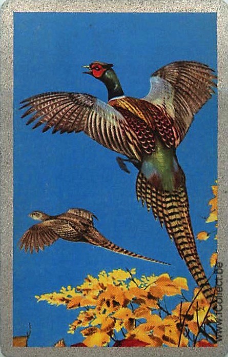 Single Swap Playing Cards Bird Pheasants (PS21-27G) - Click Image to Close