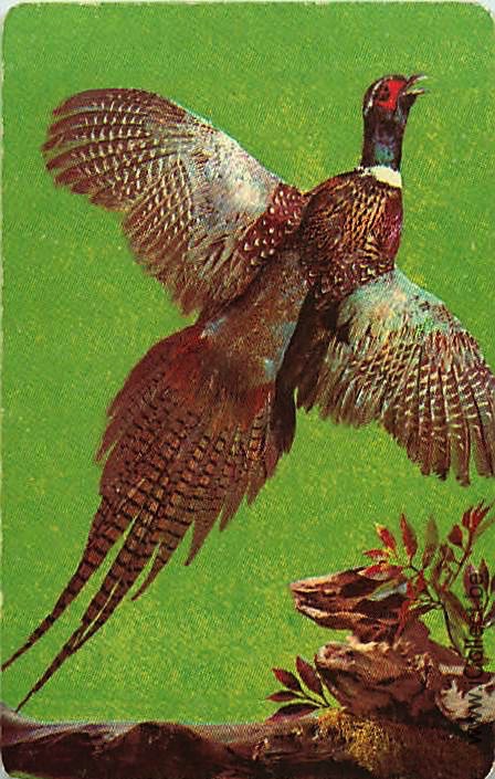 Single Swap Playing Cards Bird Pheasant (PS21-27H)