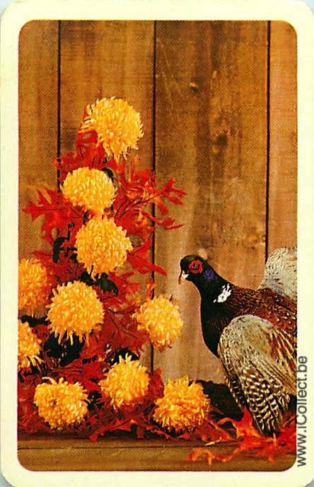 Single Swap Playing Cards Bird Pheasant (PS21-27I)