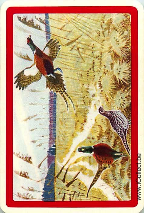 Single Swap Playing Cards Bird Pheasants (PS21-28C) - Click Image to Close