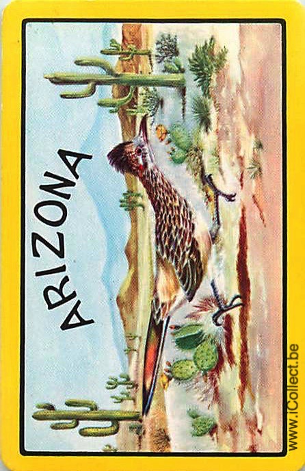 Single Swap Playing Cards Bird Pheasant Arizona (PS21-28D)