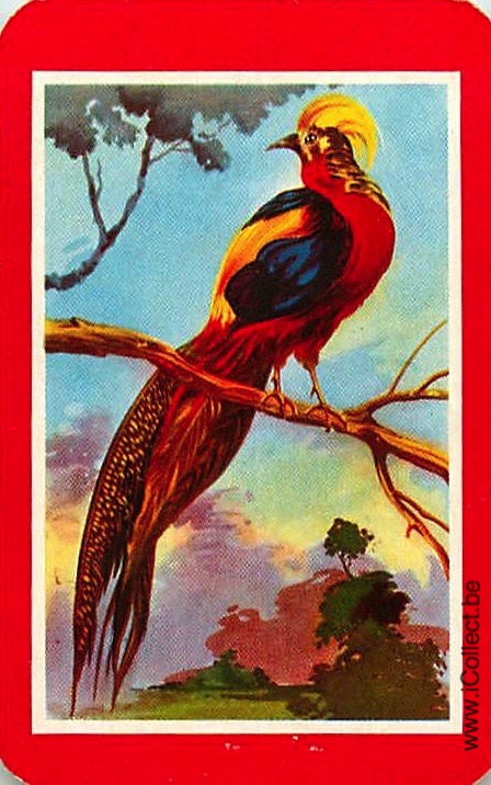 Single Swap Playing Cards Bird Pheasant (PS18-57B)