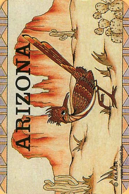 Single Swap Playing Cards Bird Arizona (PS12-50C)