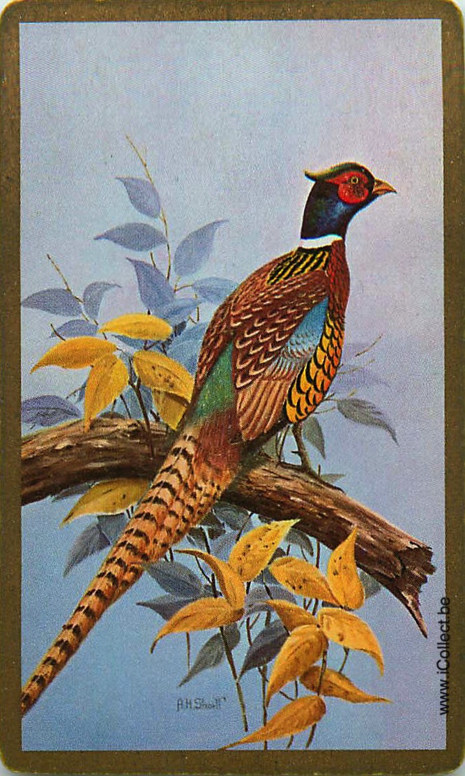 Single Swap Playing Cards Bird Pheasant (PS18-13I)