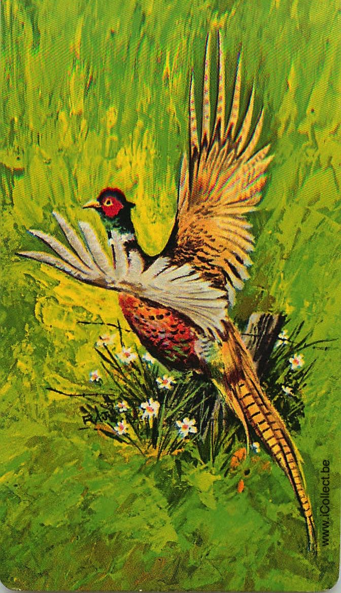 Single Swap Playing Cards Bird Pheasant (PS18-15H)