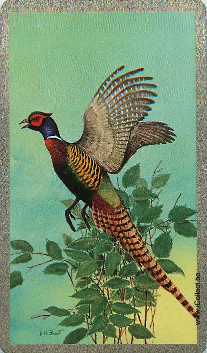 Single Swap Playing Cards Bird Pheasant (PS18-23I)