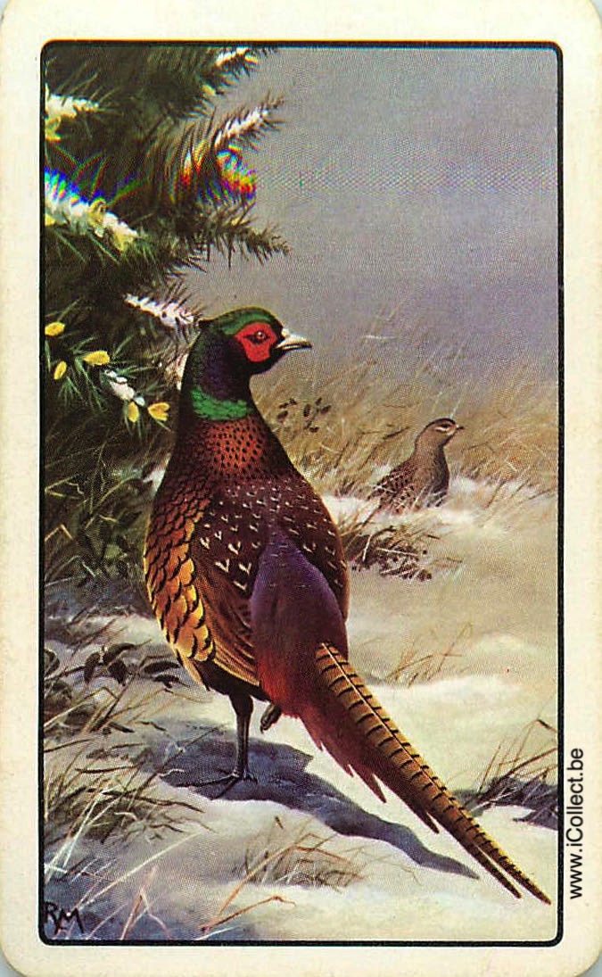 Single Swap Playing Cards Bird Pheasant (PS18-31A)