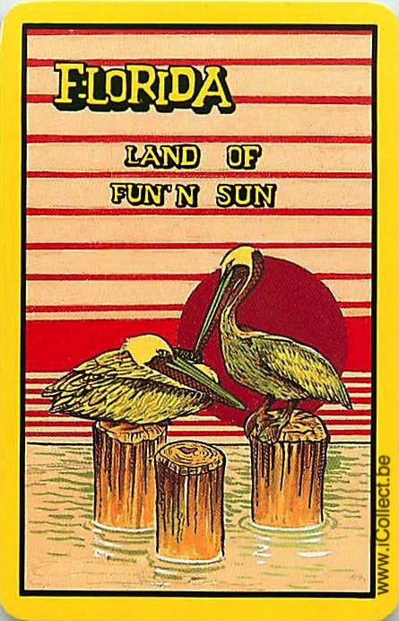 Single Swap Playing Cards Bird Pelican Florida (PS19-03A)