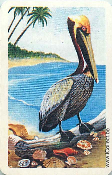 Single Swap Playing Cards Bird Pelican (PS19-06C) - Click Image to Close