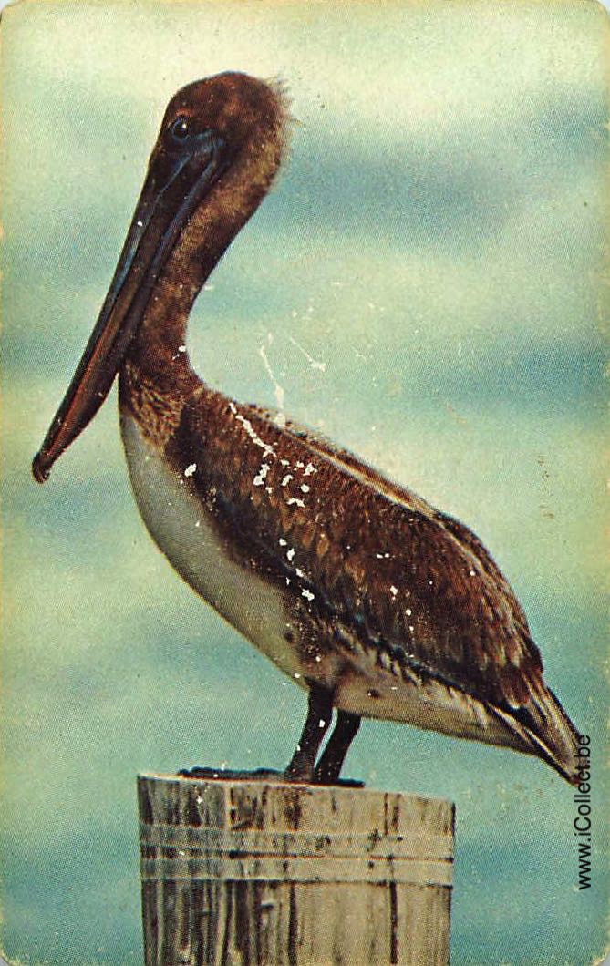 Single Swap Playing Cards Bird Pelican (PS12-49I)