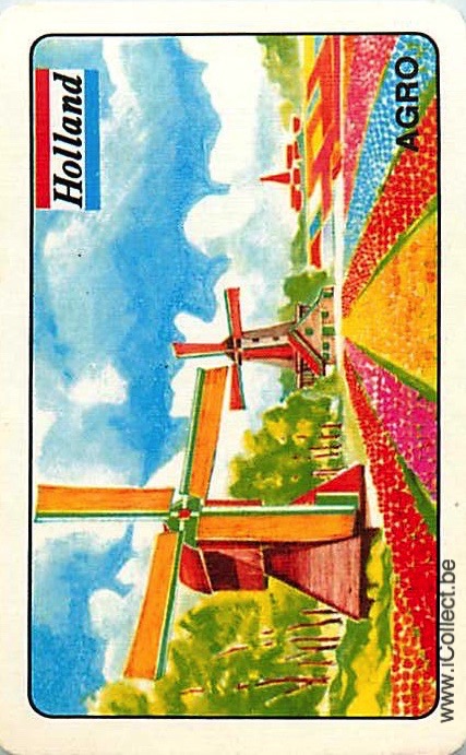 Single Swap Playing Cards Building Windmill (PS20-37E)
