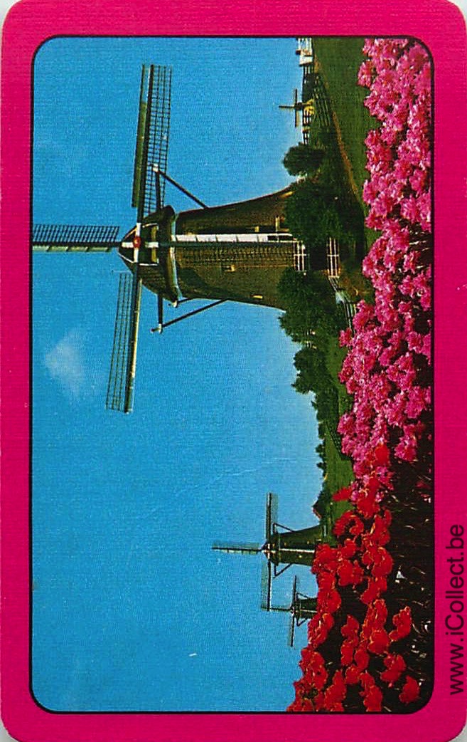 Single Swap Playing Cards Building Windmill (PS08-33H)