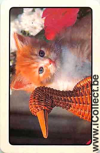 Single Swap Playing Cards Animal Cat Head (PS03-34H)
