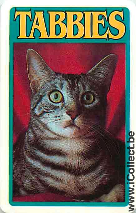 Single Swap Playing Cards Animal Cat Head (PS05-57I)