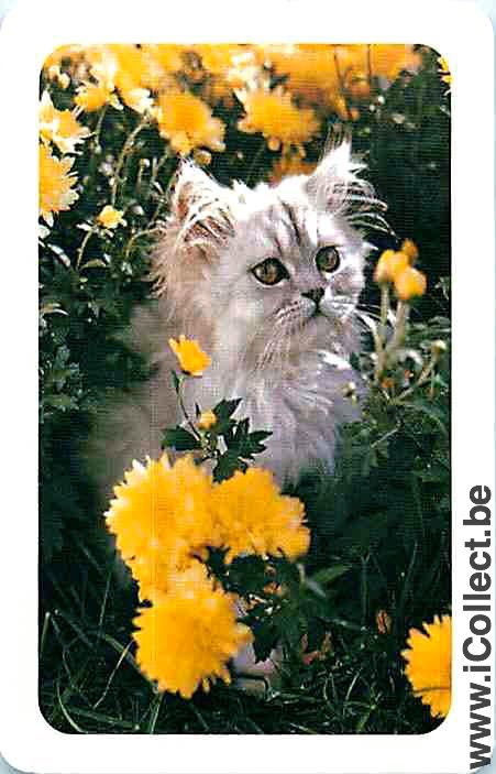 Single Swap Playing Cards Animal Cat Head (PS02-34I)