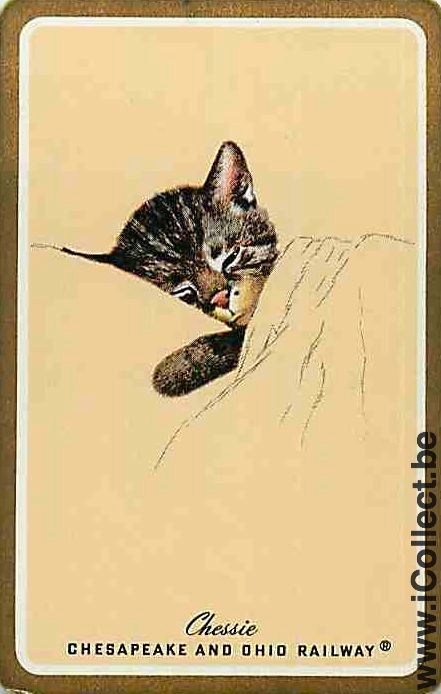 Single Swap Playing Cards Animal Cat Head (PS10-49I)