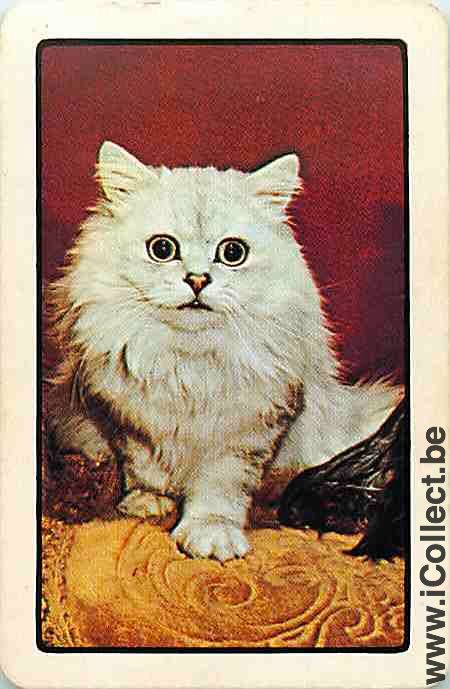 Single Playing Cards Cat (PS03-46G)
