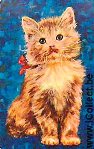 Single Swap Playing Cards Animal Cat (PS03-35E)