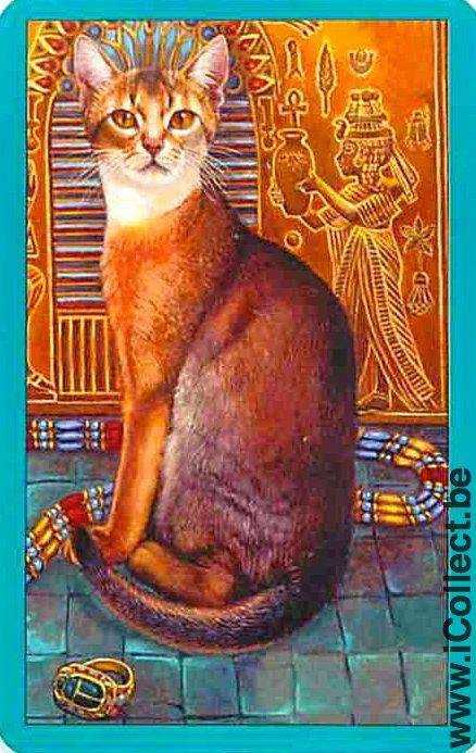 Single Swap Playing Cards Animal Cat (PS05-50H)