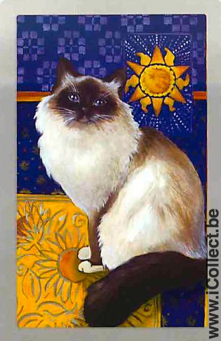 Single Swap Playing Cards Animal Cat (PS02-03F)