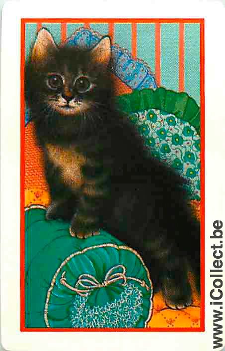 Single Swap Playing Cards Animal Cat (PS05-55F)