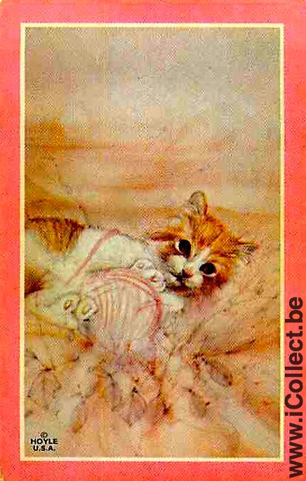 Single Swap Playing Cards Animal Cat (PS05-60B)