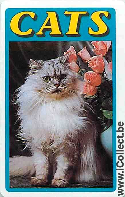 Single Swap Playing Cards Animal Cat (PS09-16E)