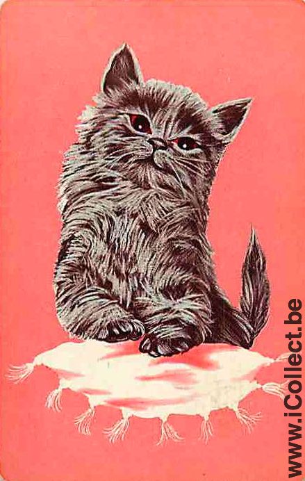 Single Playing Cards Cat (PS03-48A)
