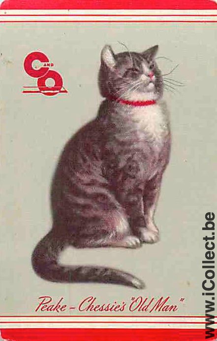 Single Playing Cards Cat (PS04-29I)