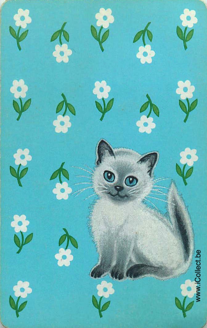 Single Swap Playing Cards Cat (PS24-10A)