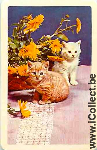 Single Swap Playing Cards Animal Two Cats (PS03-34I)