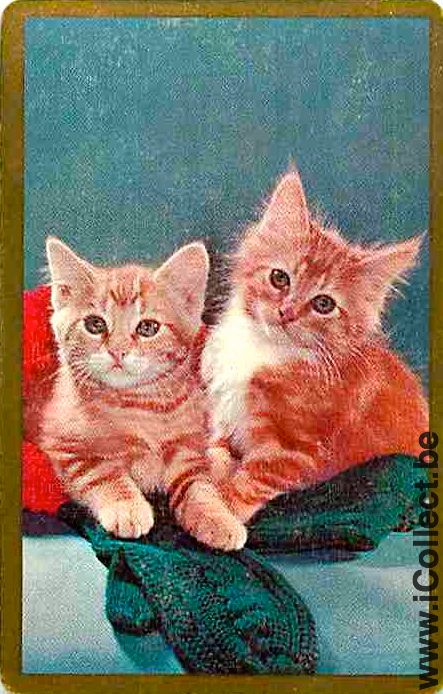Single Swap Playing Cards Animal Two Cats (PS04-29G)