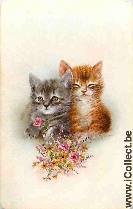Single Swap Playing Cards Animal Two Cats (PS09-48C)