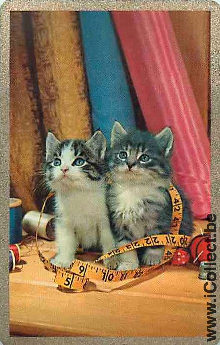 Single Swap Playing Cards Cat Two Kitten (PS11-31C)