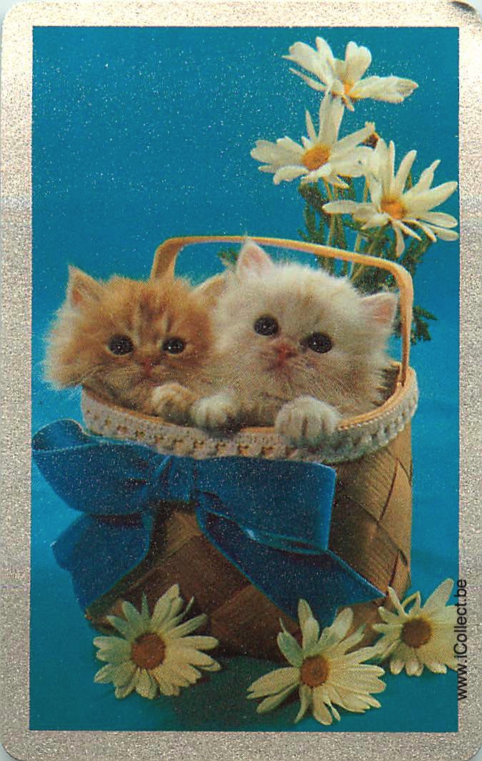 Single Swap Playing Cards Cat Duo (PS20-24E) - Click Image to Close