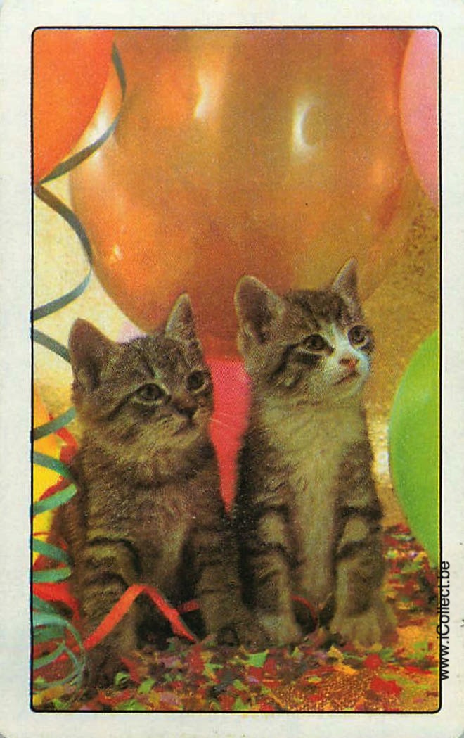 Single Swap Playing Cards Cat Kitten (PS24-10C)