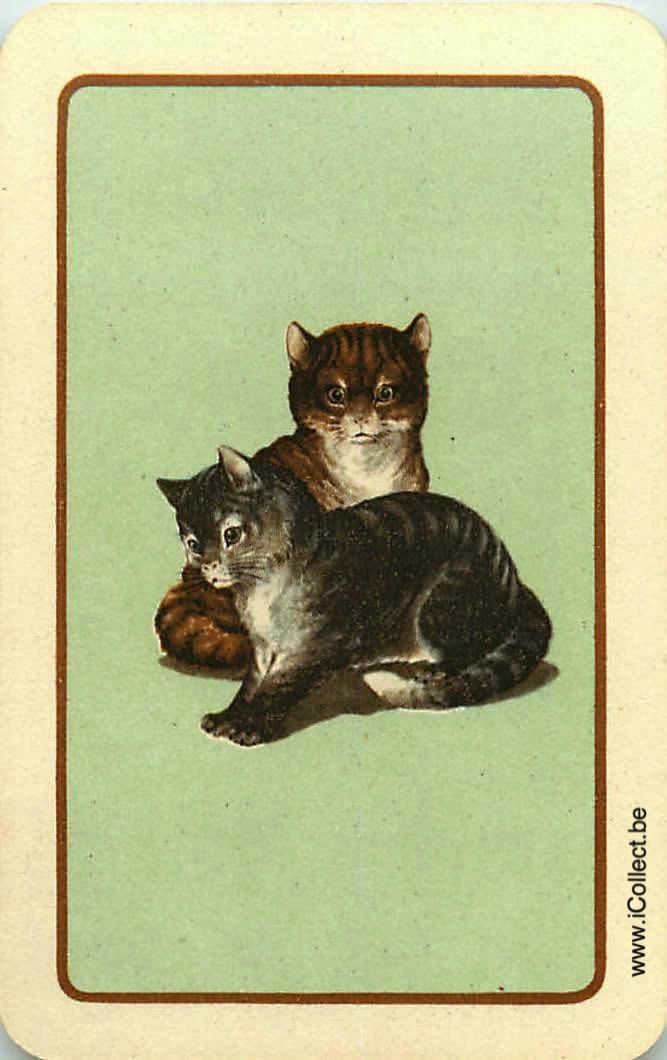 Single Swap Playing Cards Cat Kitten (PS24-10D)