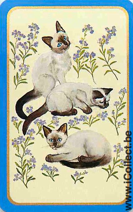 Single Swap Playing Cards Animal Cats (PS09-48A)