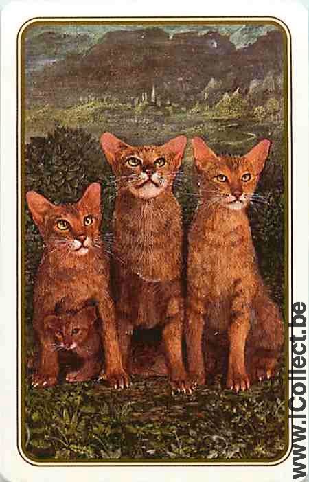 Single Swap Playing Cards Animal Cat (PS10-50A)