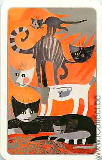 Single Swap Playing Cards Animal Cat (PS03-34F)
