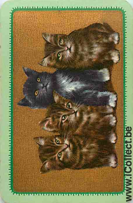 Single Swap Playing Cards Animal Cats (PS09-50E)