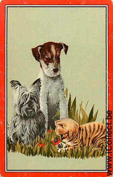 Single Playing Cards Cat and Dogs (PS12-45D)