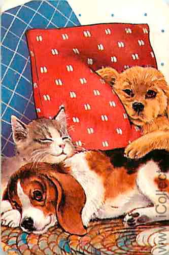 Single Swap Playing Cards Animal Cat and Dog (PS05-14G) - Click Image to Close