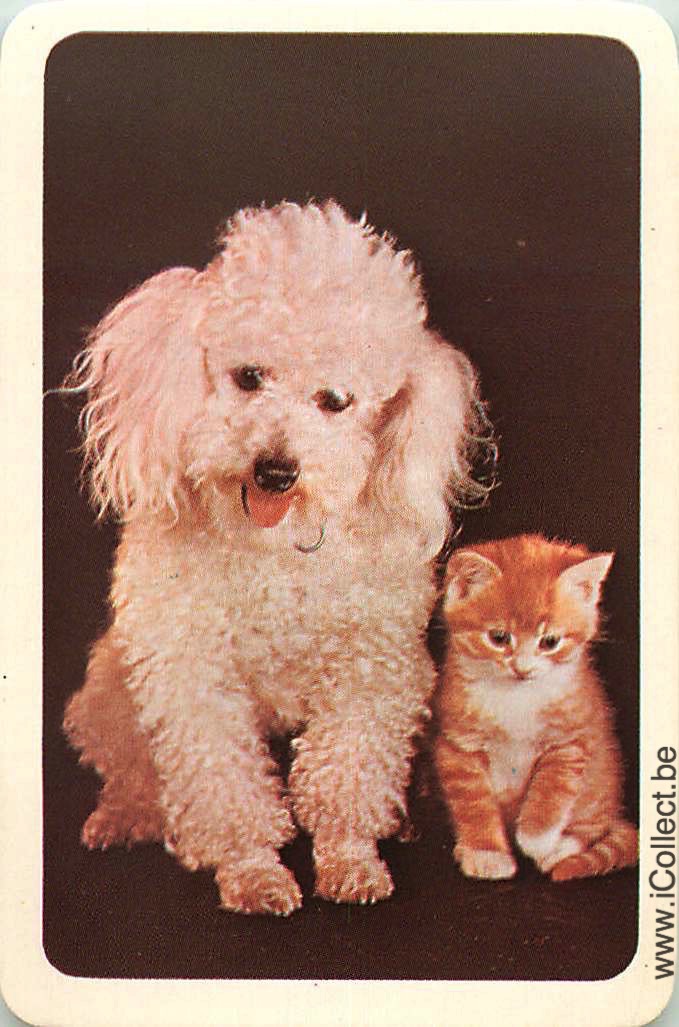 Single Swap Playing Cards Cat & Dog (PS05-29I)