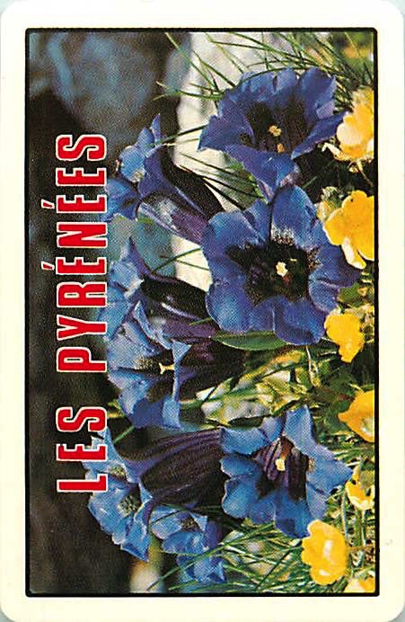 Single Playing Cards Country France Les Pyrenees (PS16-60D) - Click Image to Close