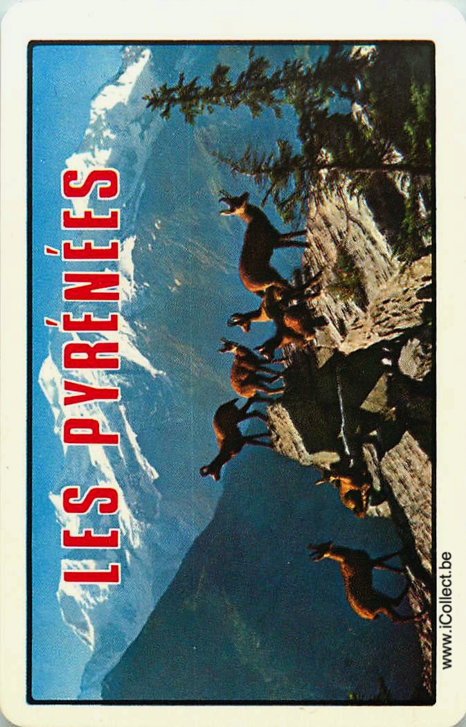 Single Swap Playing Cards Country Les Pyrenees (PS15-04G)